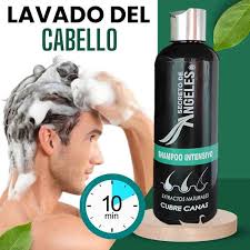 SHAMPOO CUBRE CANAS cubremax
